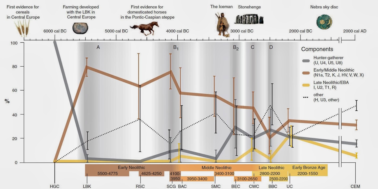 timeline mt-DNA